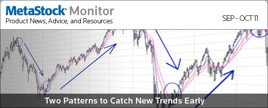 MetaStock Monitor Newsletter